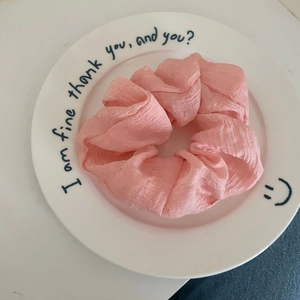 French INS light pink pleated scrunchie with macaron stripe texture on a white plate