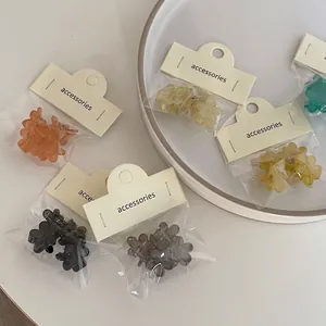 Ensemble de Mini Pinces à Cheveux Fleur Givrée Acrylique Petites Barrettes Support de Queue de Cheval Femme Bijoux