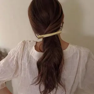Koreanischer Stil Minimalistisch Metall Langer Haarklipp Elegant Silber Ast Haarspange Für Damen Hochwertiger Haarschmuck
