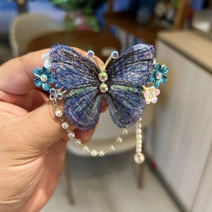 Detailansicht der bestickten Schmetterlings-Haarklammer mit Strass und Perlen-Quasten