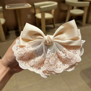 Detail of French chic satin and lace hair clip with floral embroidery in beige pink