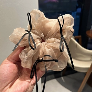 Detail view of champagne mesh scrunchie with elegant black ribbons and hand-tied bows