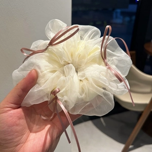 Close-up of ballet style mesh scrunchie with pink ribbons and delicate organza texture