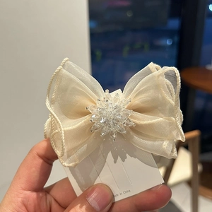 Pince à cheveux élégante en organza beige avec perles en cristal sur carte de support
