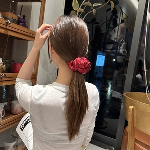 Dettaglio macro di un elastico per capelli a rosa in raso rosso su una coda di cavallo alta