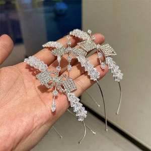 Vue détaillée de serre-têtes argentés avec des zircons étincelants et des glands papillon
