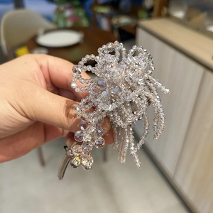 Detail von champagnerfarbenem Perlen-Blumen-Haarclip mit Kristallquasten