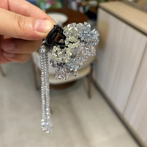 Detail of luxury crystal hair claw clip with long sparkling tassel beads for women