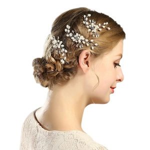 Set d'épingles à cheveux de mariée avec perles et cristaux sur tresse élégante