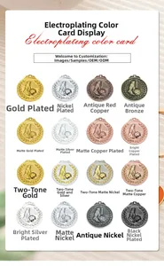 Detail display of sixteen electroplating color swatches for custom football medals