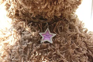 Star-shaped mini photo frame pendant with rhinestones and lobster clasp for pets