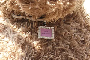 Macro shot of a mini wave frame pet tag with sparkling rhinestones on a plush background