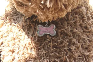 Macro detail of bone-shaped pink pet tag with white rhinestones and mini photo frame
