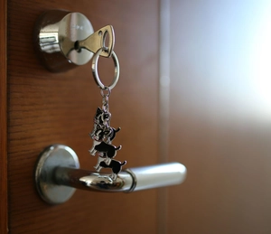 Close-up of cartoon dog metal keychain hanging on a door lock in a natural home setting