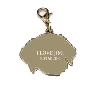 Close-up of golden dog-shaped pet ID tag with custom engraving and lobster clasp