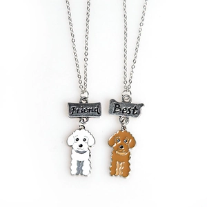 Détail des colliers Best Friend pour animaux avec étiquettes os et pendentifs émaillés