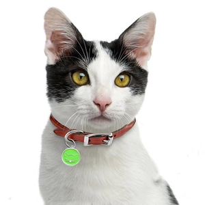 Red leather cat collar with green oil-drop pendant featuring a cute white cat face icon