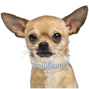 Collana elastica per animali con cristalli argentati e ciondolo a zampa per piccoli cani