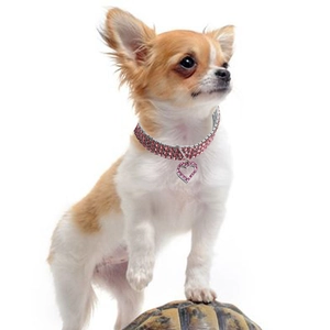 Collier pour animaux avec trois rangées de strass roses et pendentif cœur pour petit chien