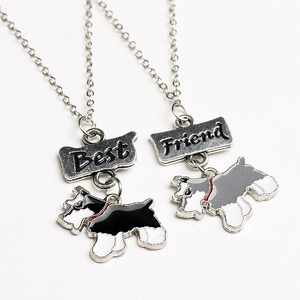 Détail des colliers pour chien Best Friend avec pendentifs Schnauzer et étiquettes