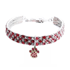 Détail du collier pour animaux avec trois rangées de strass et pendentif patte dorée