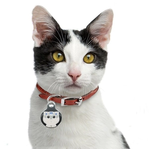 Cartoon Cat Pet ID Tag For Dogs And Cats Anti-Lost Alloy Enamel Name Identity Tag For Collar Pendant Necklaces Jewelry Gift