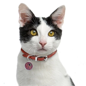 Orange leather pet collar with pink glitter LOVE identity tag and silver metal buckle