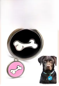 Detail of round stainless steel pet ID tags with bone pattern and dog wearing blue tag