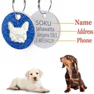 Vue détaillée du médaillon d'identification gravé pour colliers de chiens