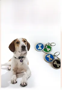 Zinc alloy pet ID tag with bone design in multiple colors shown on a dog collar