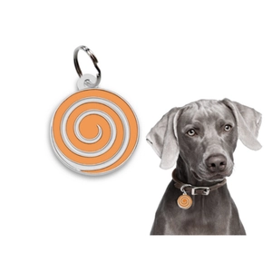 Médaille d'identification orange pour chien avec anneau en acier inoxydable pour collier