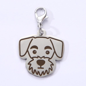 Macro detail of stainless steel Schnauzer dog tag with lobster clasp on white background