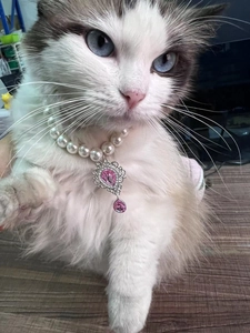 Detail of pet pearl necklace featuring a silver heart pendant with pink crystal stones