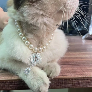 Elegant pearl cat collar with antique metal pendant and crystal teardrop charm