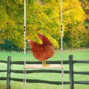 Nordic handmade wooden chicken swing toy with woven cotton ropes and decorative beads