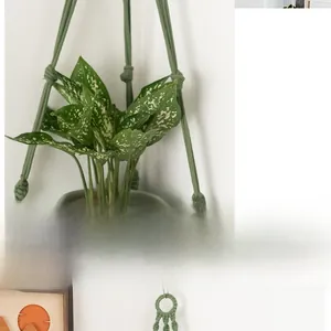 Dettaglio del portapiante in macramè verde con corde di cotone intrecciate a mano