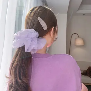 Schickes Set aus lila Organza-Haargummi und strukturierter Haarspange im Haar
