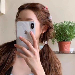 Detail of gradient butterfly hair clips styled in a Korean braided hairstyle