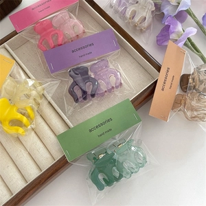 Set di 2 piccoli fermagli per capelli colorati e mini pinze per acconciatura a coda