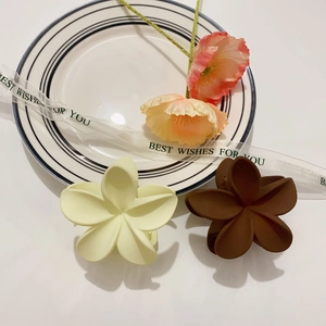 Detalle de pinzas para el cabello de flores mate en crema y marrón sobre fondo minimal
