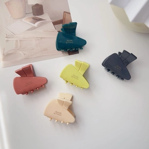 Morandi colors matte resin hair clips set with gold Barrette la France lettering
