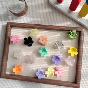 Set aus mattierten und klaren kleinen Blumen-Haarklammern in Bonbonfarben