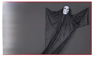 Detailed view of the realistic plastic skull and long black sheer fabric hanging ghost