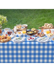 Close-up of blue and white gingham tablecloth texture at an outdoor picnic setting