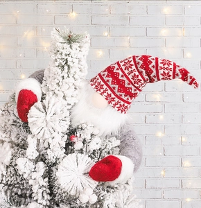 Close-up of a Christmas gnome with red knitted hat hugging a snowy pine tree branch