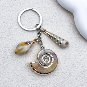 Gedetailleerde macro-opname van acryl nautilus en schelpenhangers met goudkleurige randen