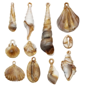 Golden acrylic shell charms set with diverse natural spiral and scallop shapes for DIY jewelry