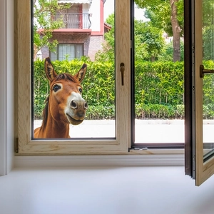 Modern light wood grain casement window with glass panes and a funny donkey outdoor background