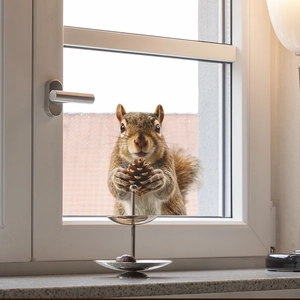 Cute squirrel wall sticker with pine cone and silver metal display stand on window
