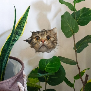 Creative 3D tabby cat wall sticker for home decor peeking through a hole in a white wall